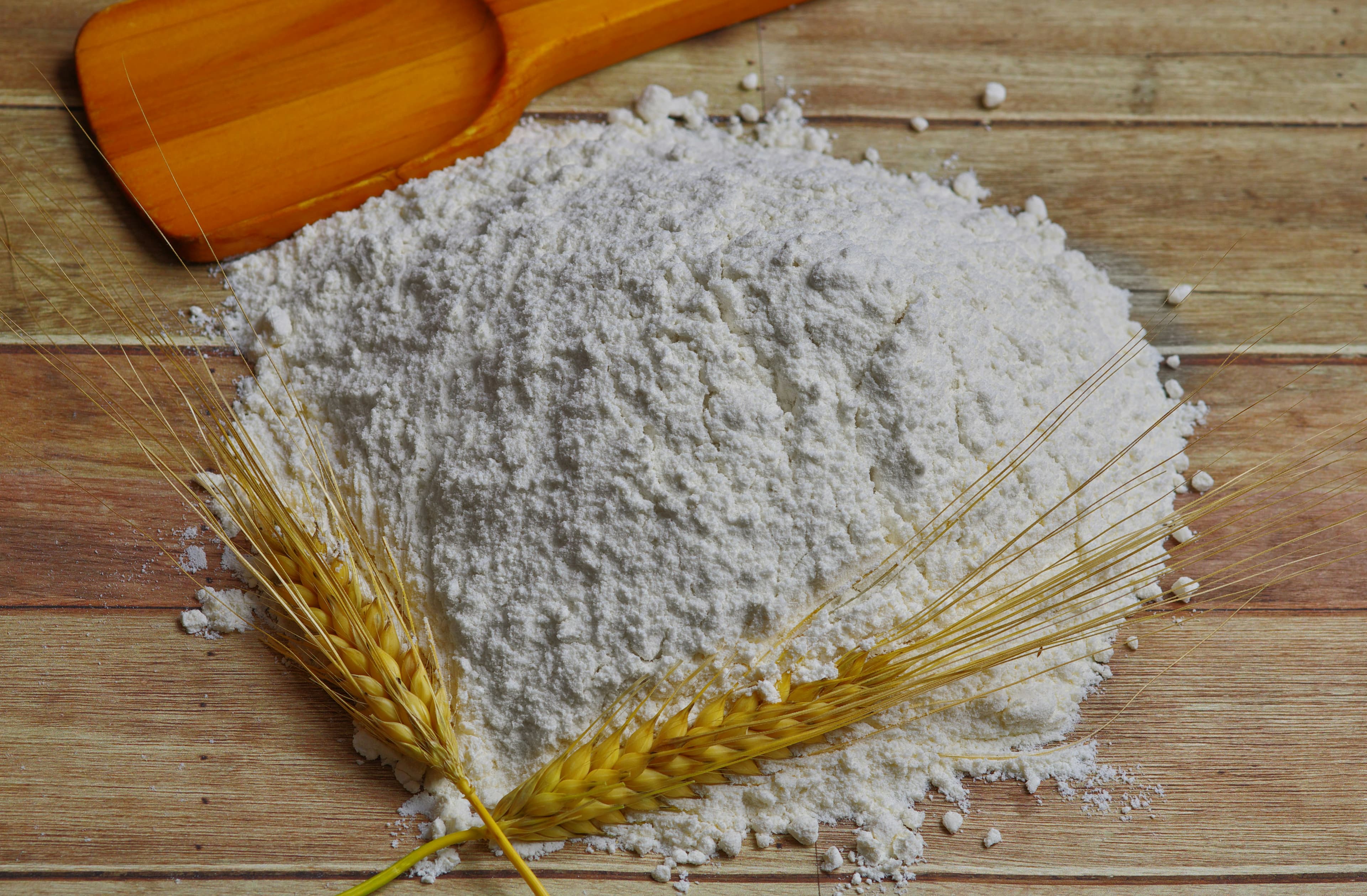 Corn Starch and Tapioca Starch: Southeast Asia Supply Update Amid Planting Season