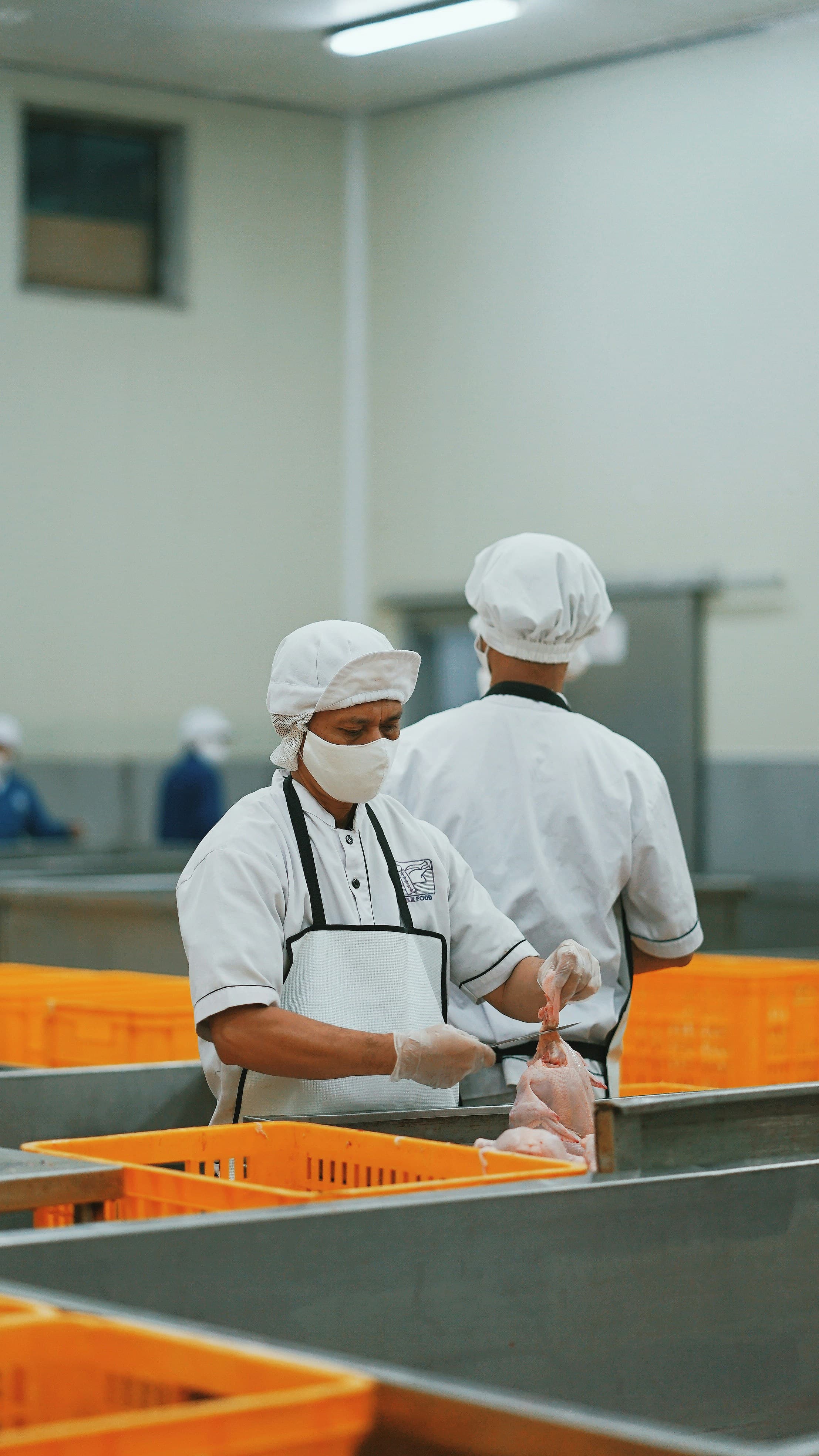 Food Ingredient Freight: H1 Closing Review and the July Cost Correction Opportunity