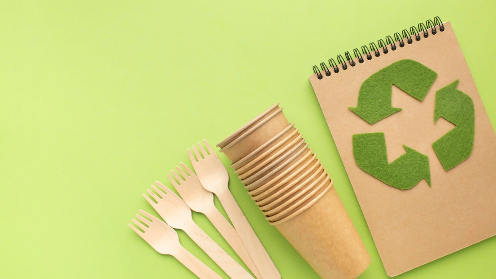 Dari Minyak Bumi ke Asam Format: Bagaimana Plastik Biodegradable Mengubah Permainan