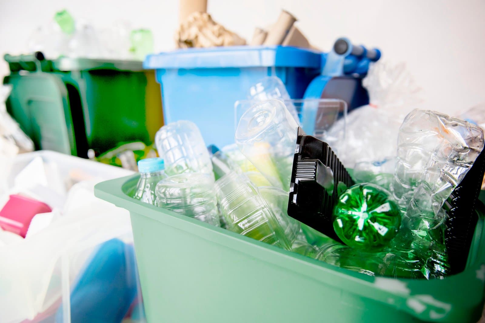 Bioplastik dalam Sorotan: Merek Berhati-hati Di Tengah Kekhawatiran Keanekaragaman Hayati dan Daur Ulang