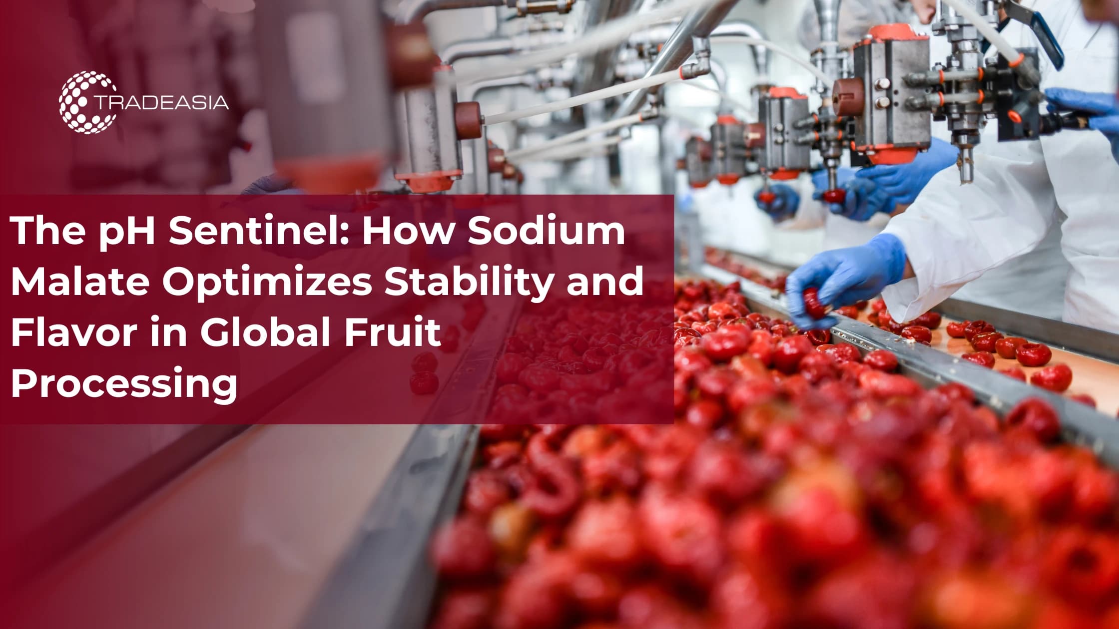 Sentinel pH: Bagaimana Sodium Malate Mengoptimalkan Stabilitas dan Rasa dalam Pengolahan Buah Global