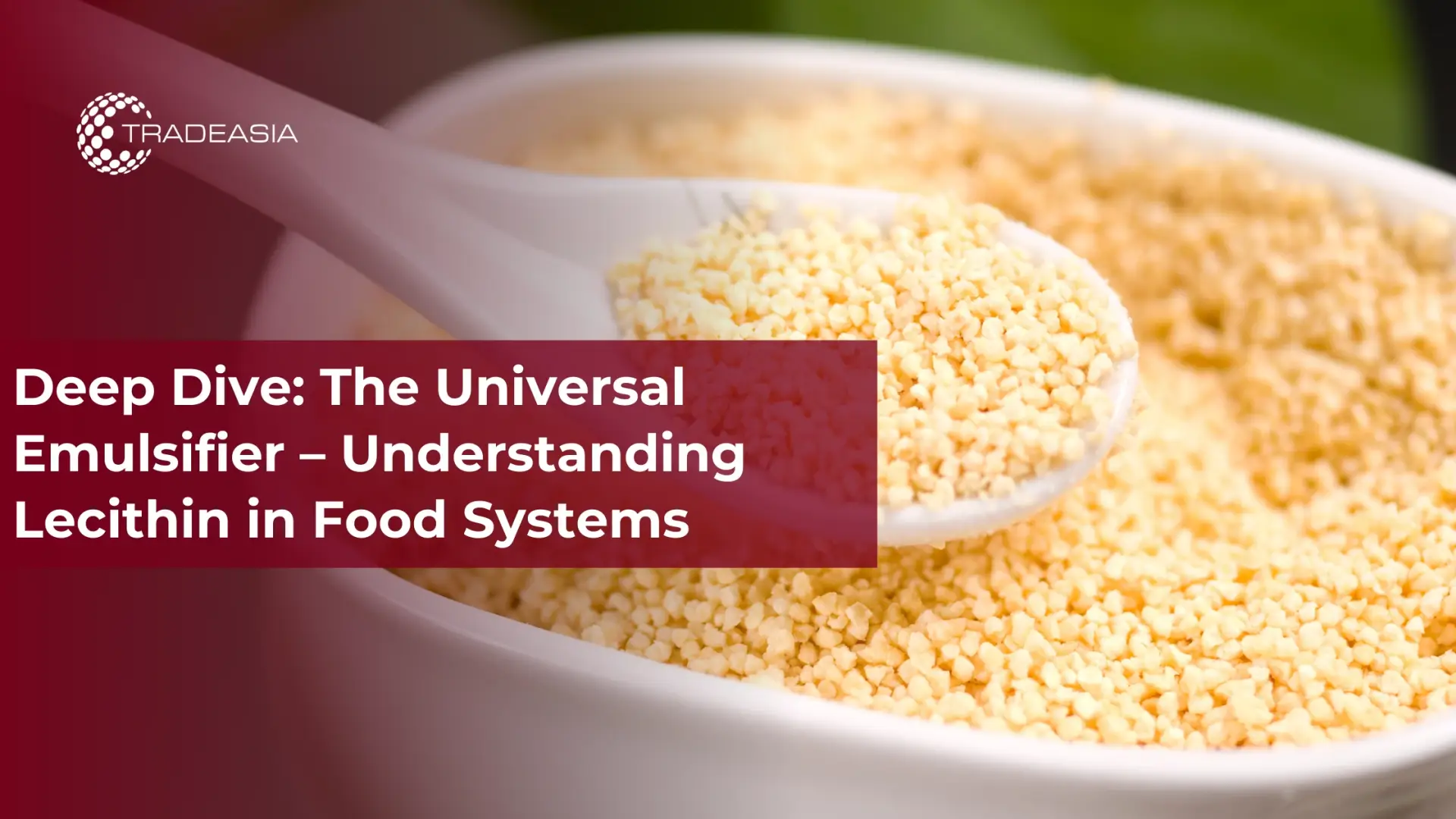 Deep Dive: Pengemulsi Universal - Memahami Lesitin dalam Sistem Makanan