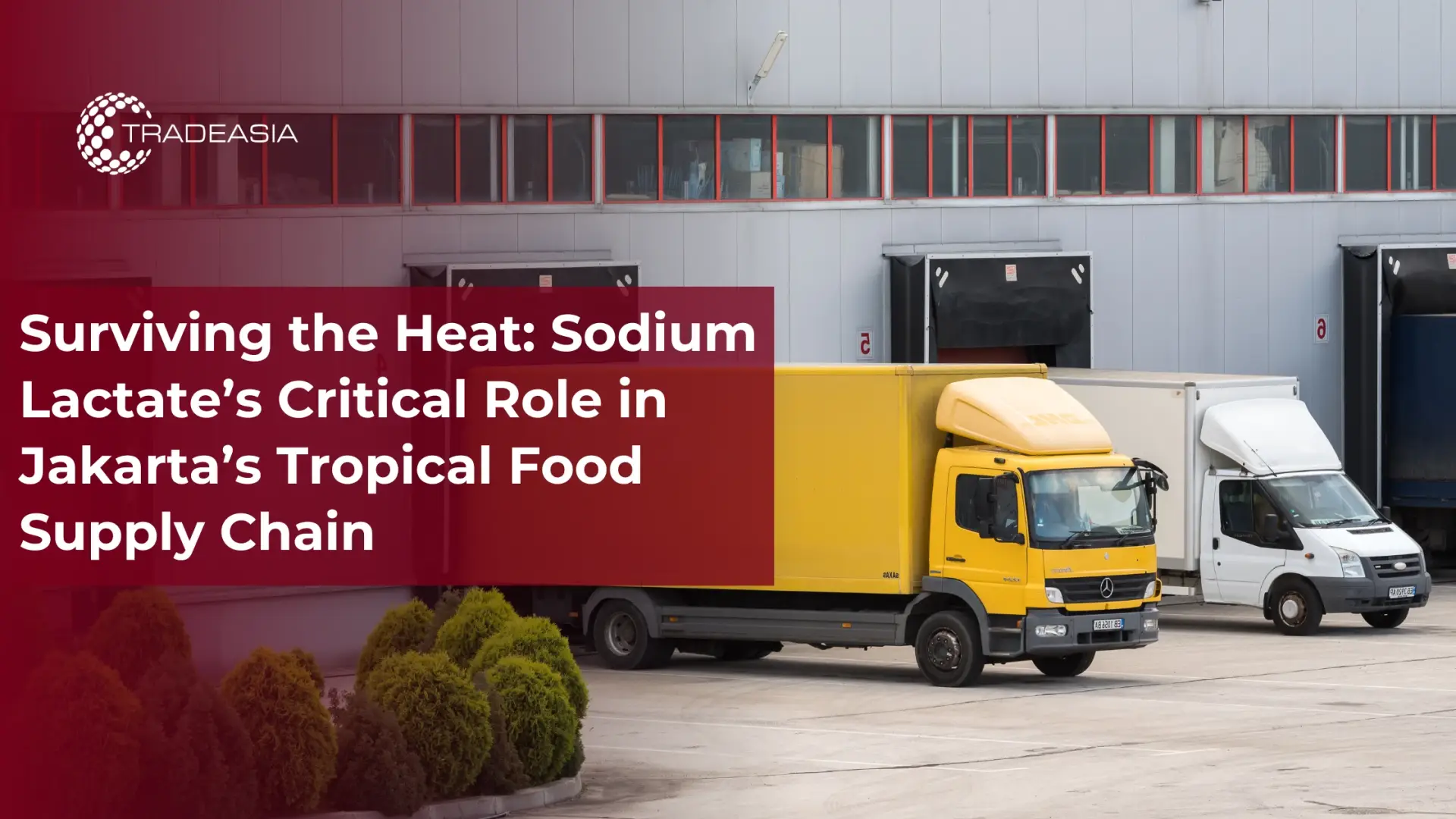 Bertahan dari Panas: Peran Kritis Sodium Laktat dalam RanTAI Pasokan Makanan Tropis Jakarta