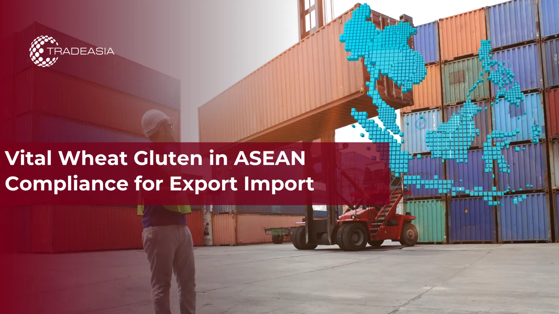 Gluten Gandum Vital dalam Kepatuhan ASEAN untuk Impor Ekspor