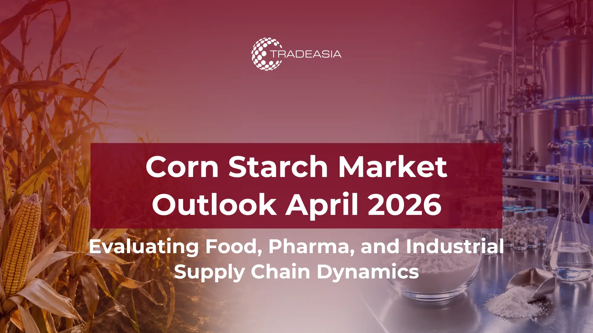 Prospek Pati Jagung April 2026: Permintaan Makanan, Farmasi, dan Industri
