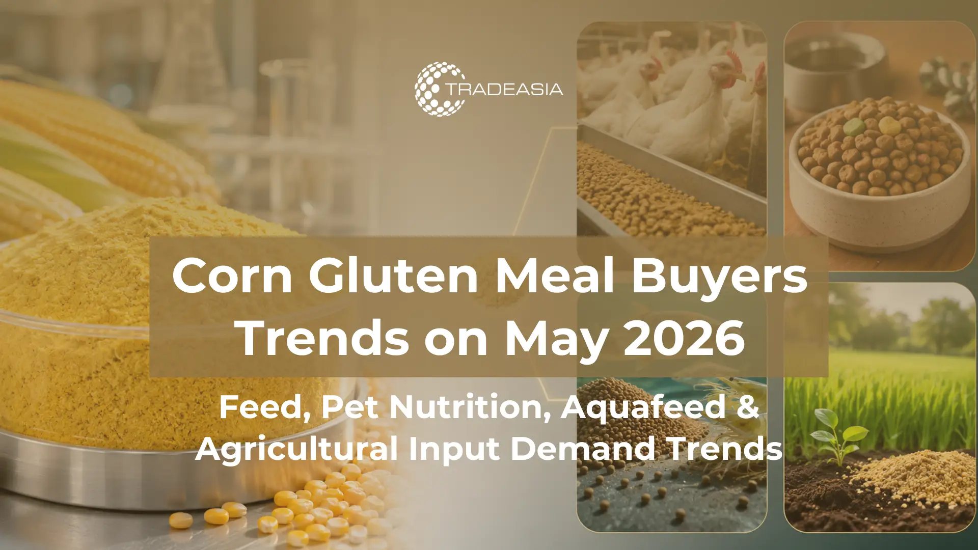 Siapa yang Membeli Makanan Gluten Jagung pada Mei 2026? Tren Pakan & Hewan Peliharaan