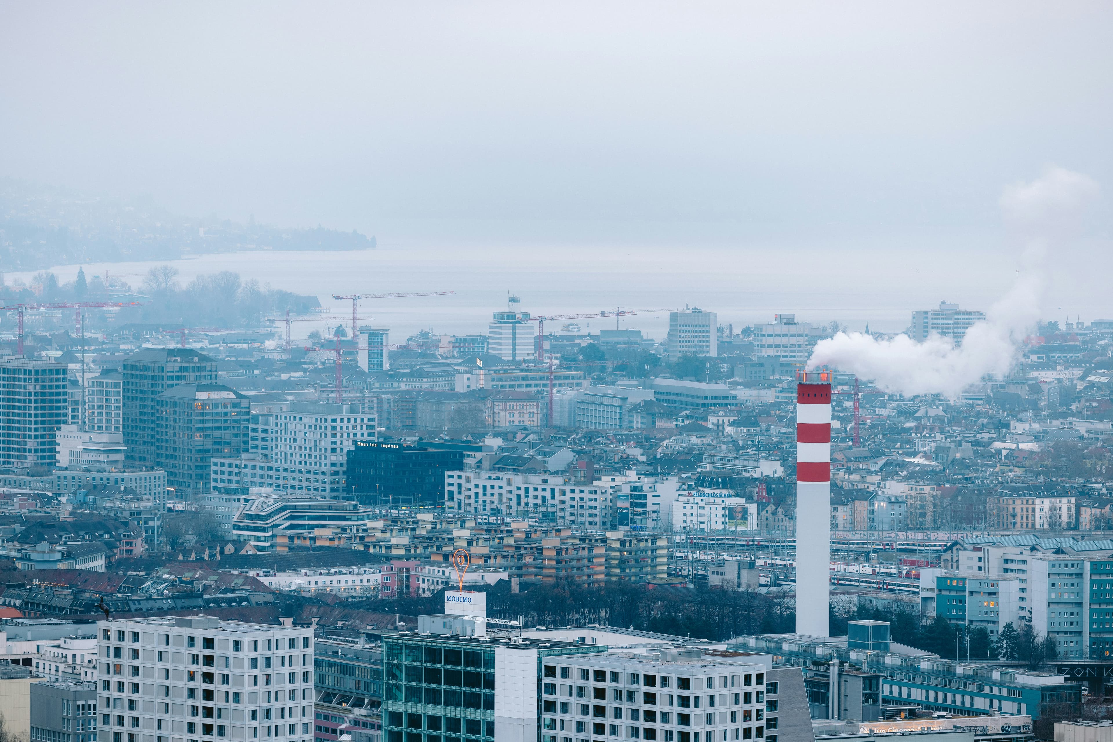 EU Carbon Permits at a 23-Week High: A New Cost Layer for European Pharma Ingredient Producers