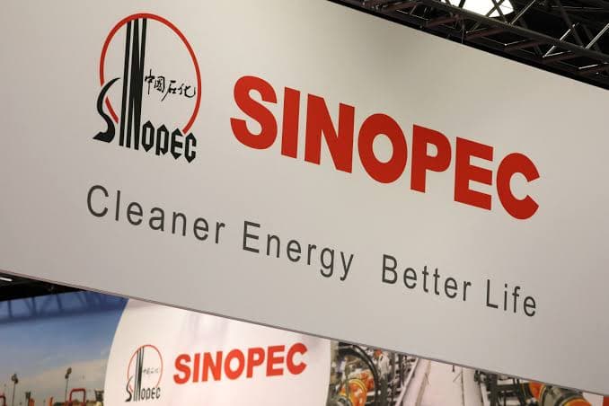 Sinopec's 210000 Tonne PVA Facility: China's Push Into High End Specialty Grades Within a Commodity Powerhouse