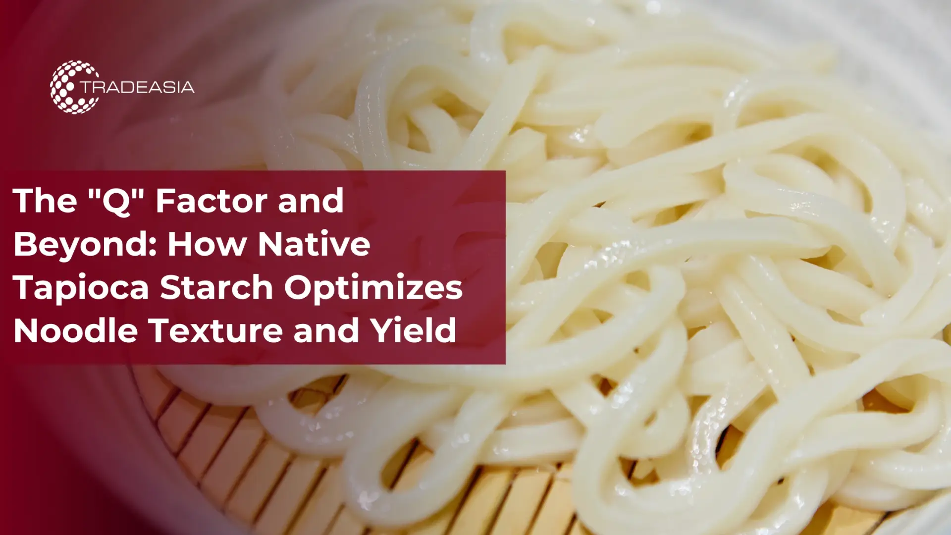 How Native Tapioca Starch Optimizes Noodle Texture and Yield