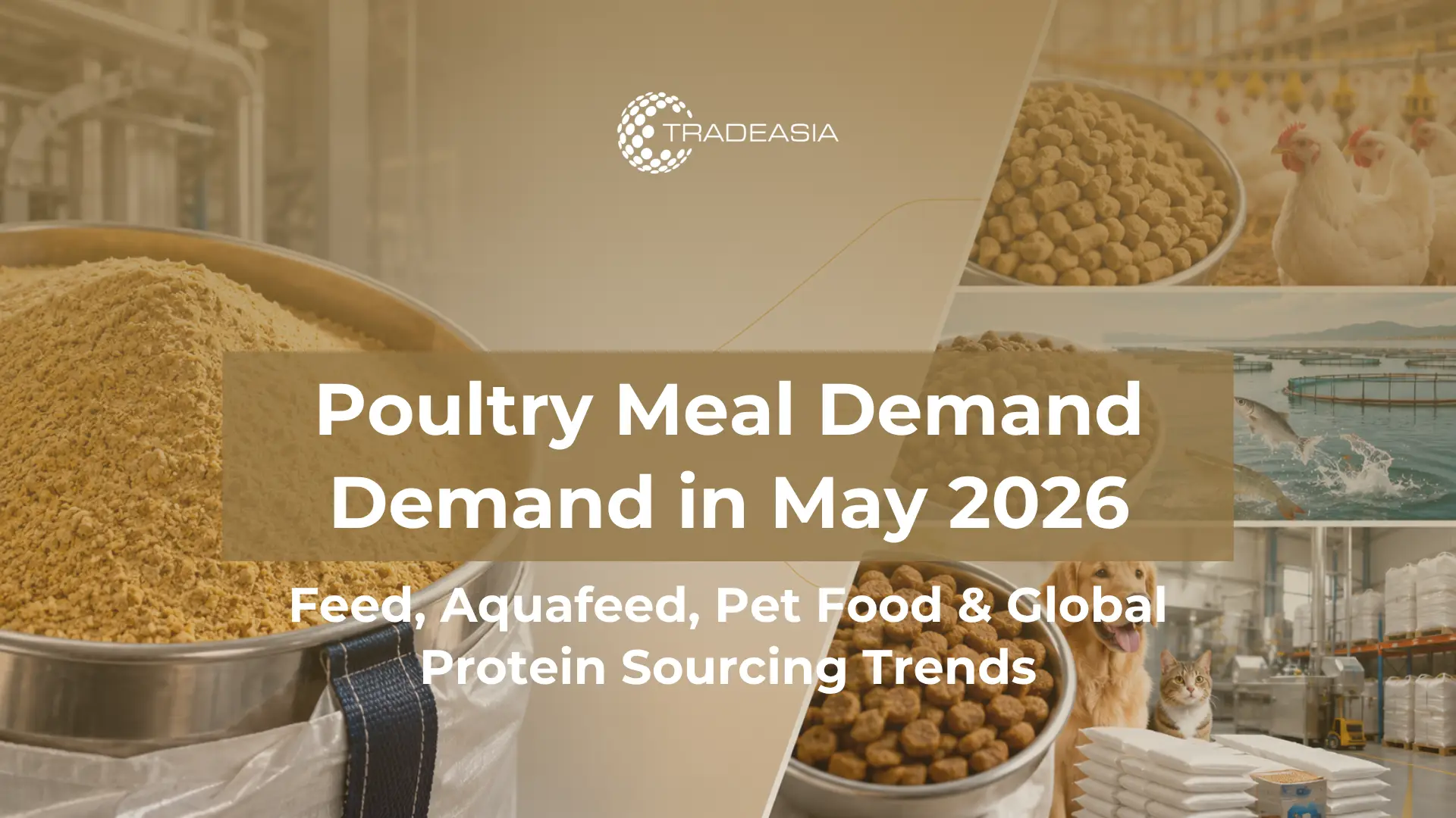 Why Poultry Meal Demand Stayed Firm in Feed and Pet Food Markets