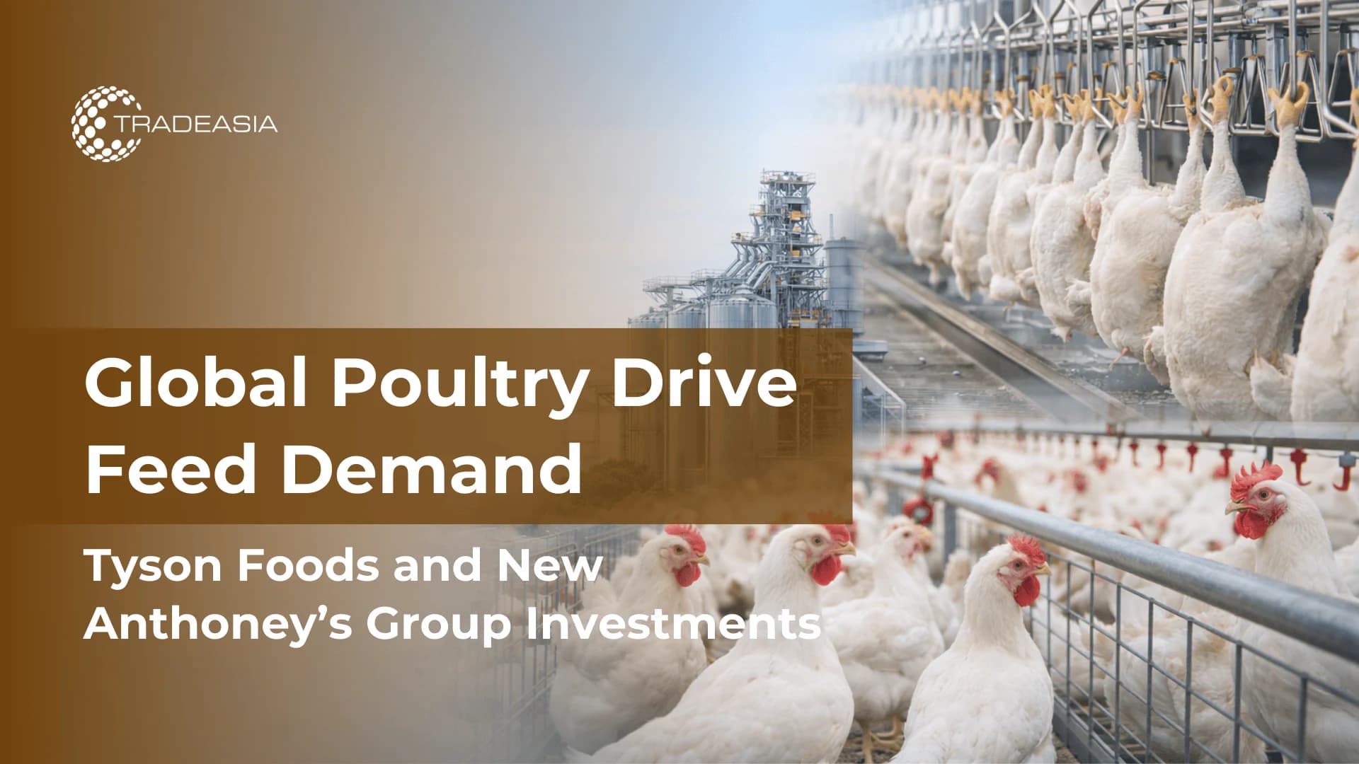 Tyson Foods & New Anthoney’s Group Investments Makes Poultry Industry Growth