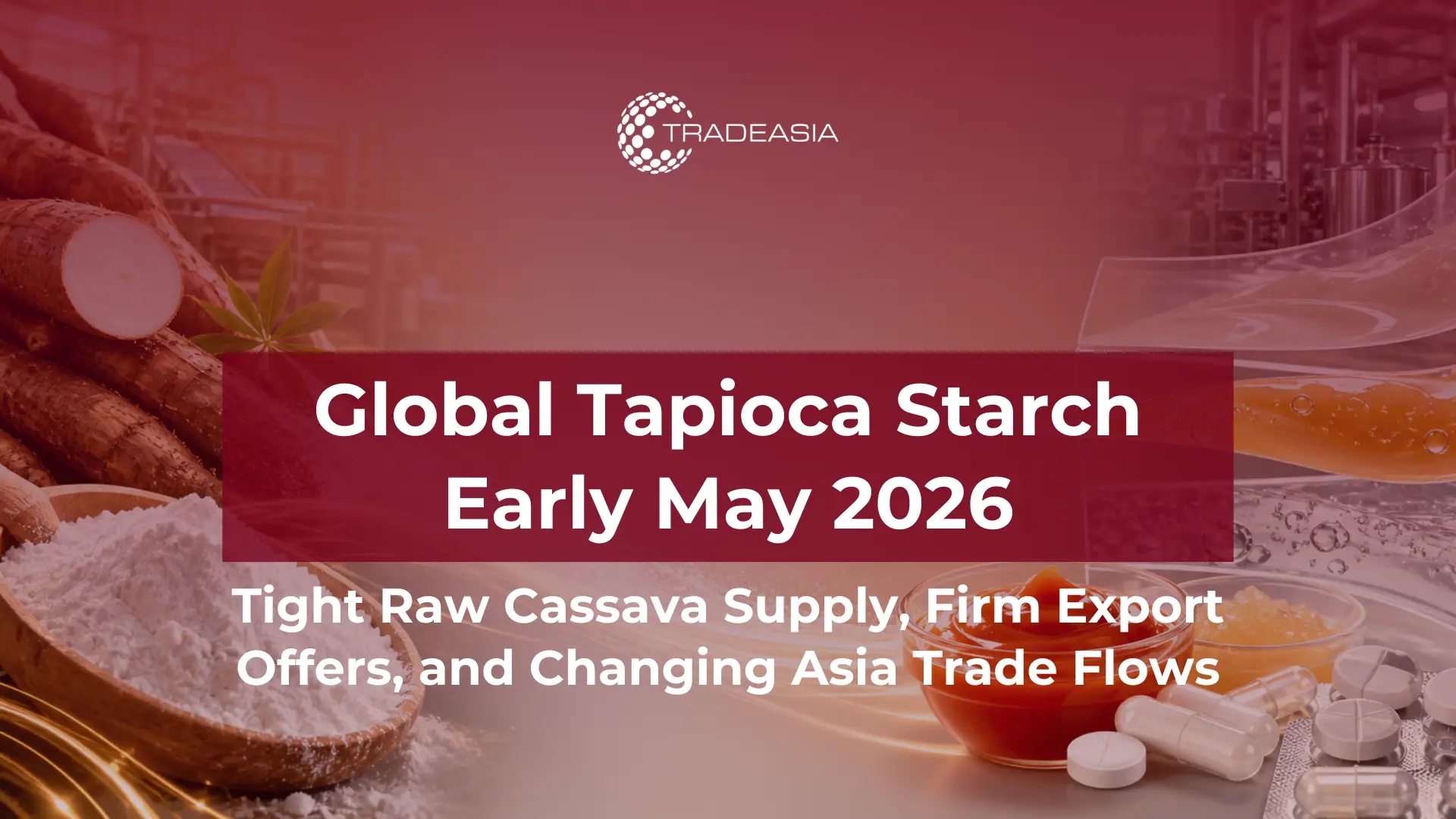 Global Tapioca Starch Early May 2026: Raw Cassava Shortage and Trade Dynamics