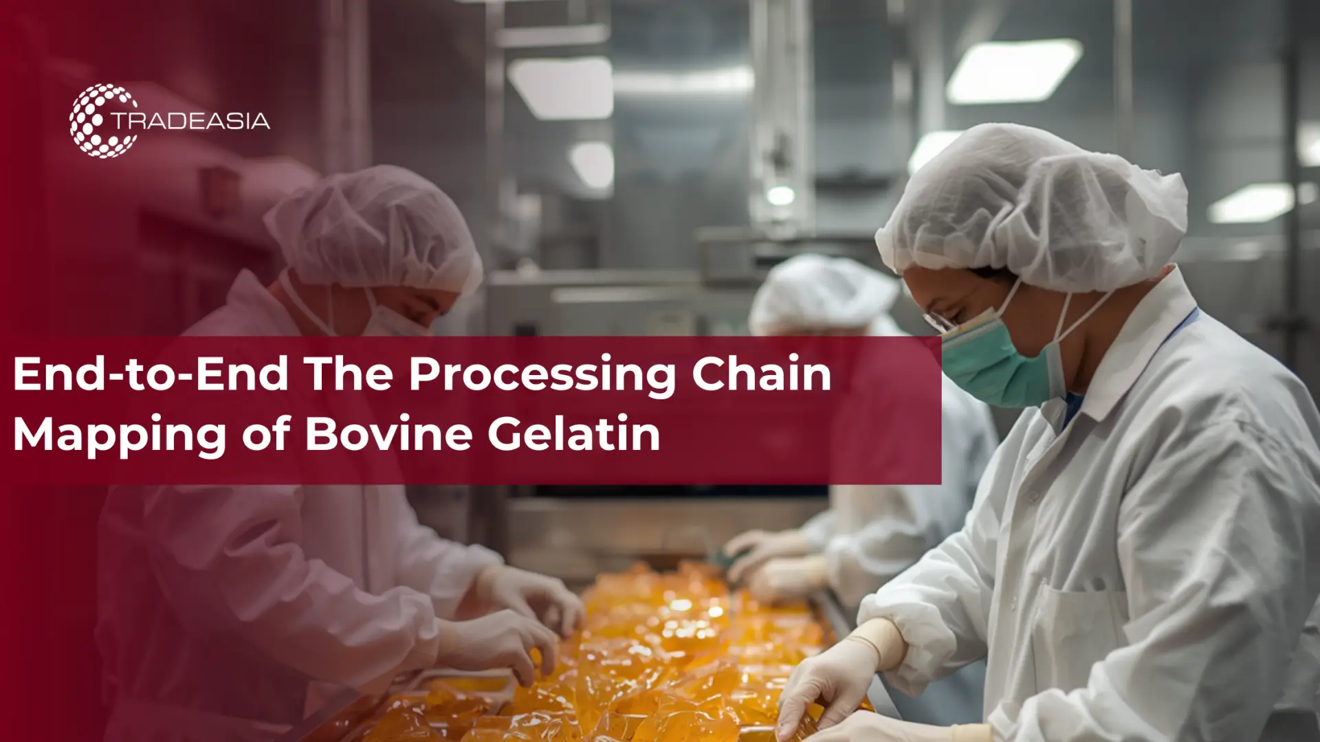 End-to-End The Processing Chain Mapping of Bovine Gelatin