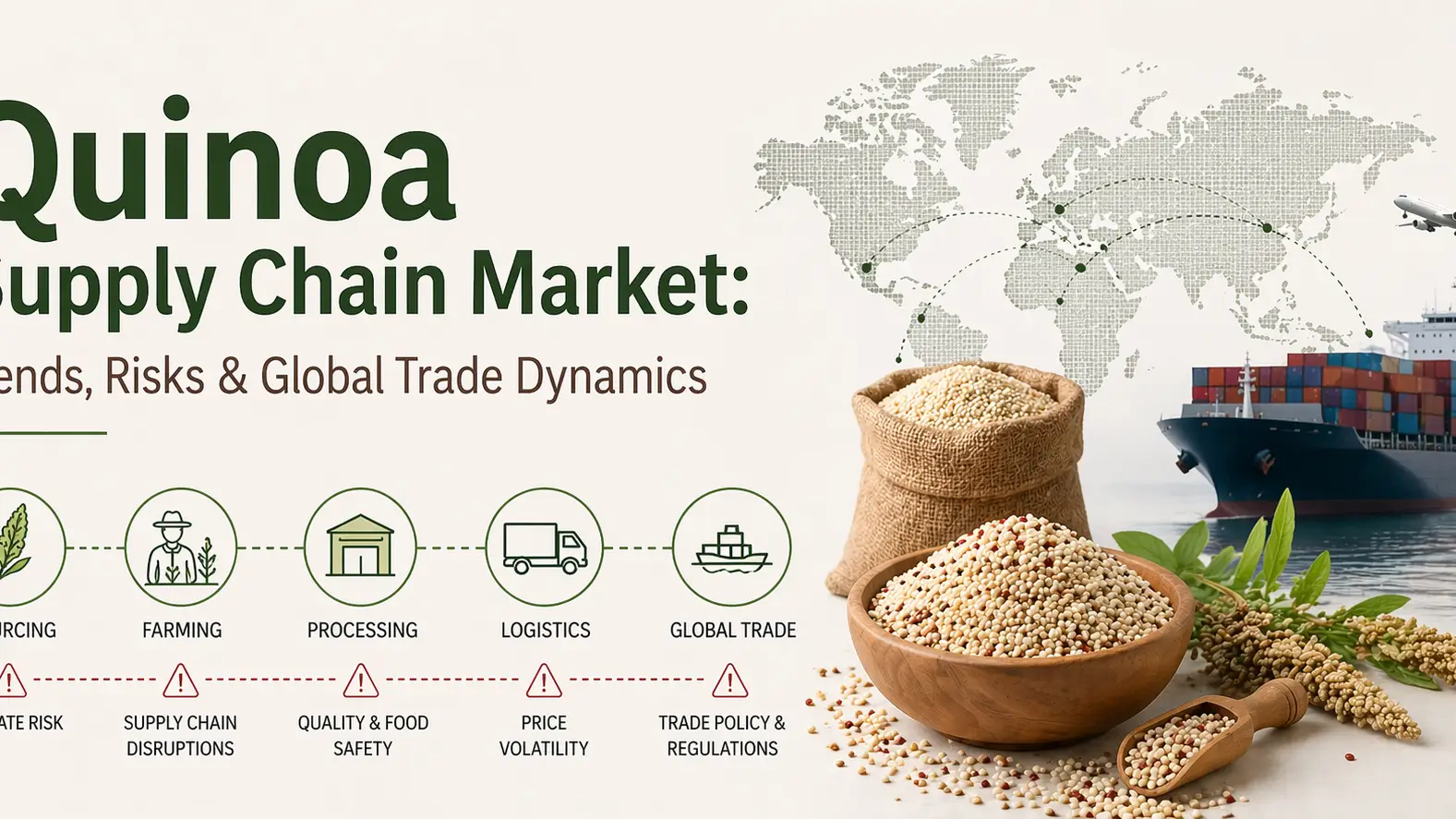 Pasar Ranja Pasokan Quinoa: Tren, Risiko & Dinamika Perdagangan Global