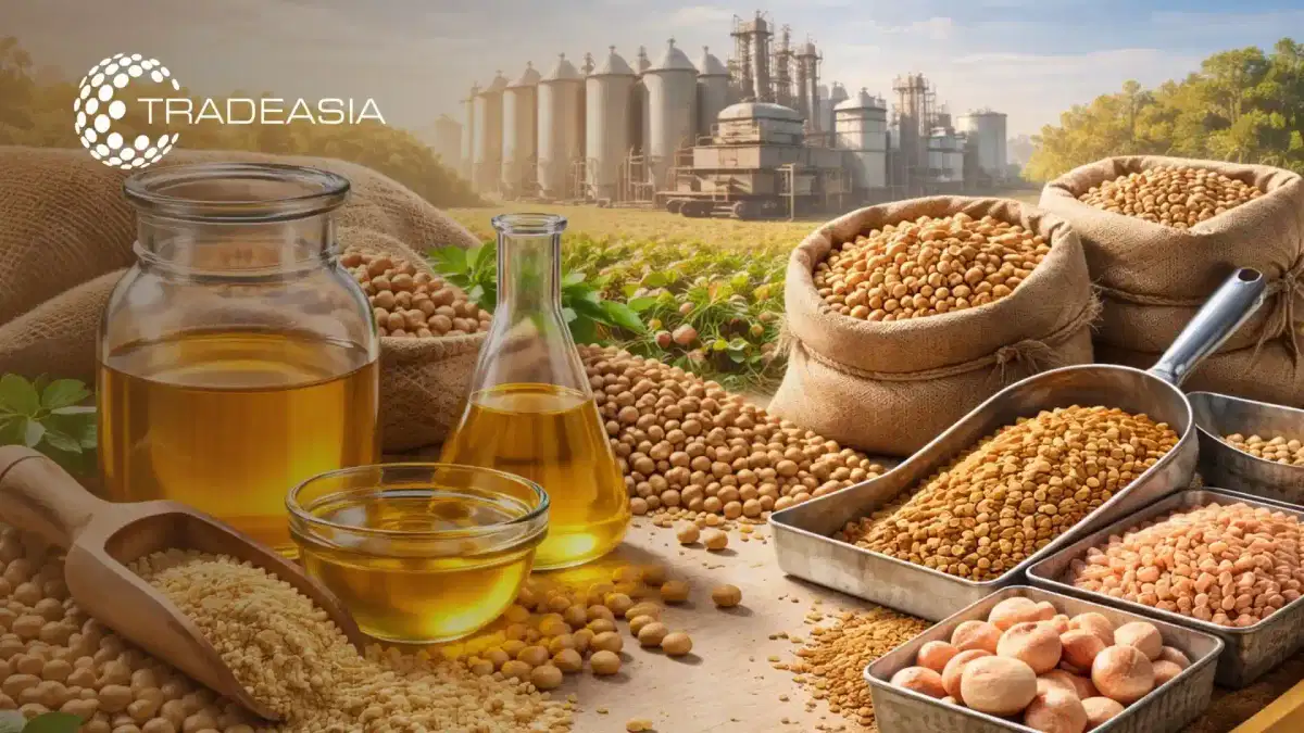 Bagaimana Produsen Pakan Dapat Mengamankan Pasokan Lesitin Kedelai yang Stabil pada tahun 2026?
