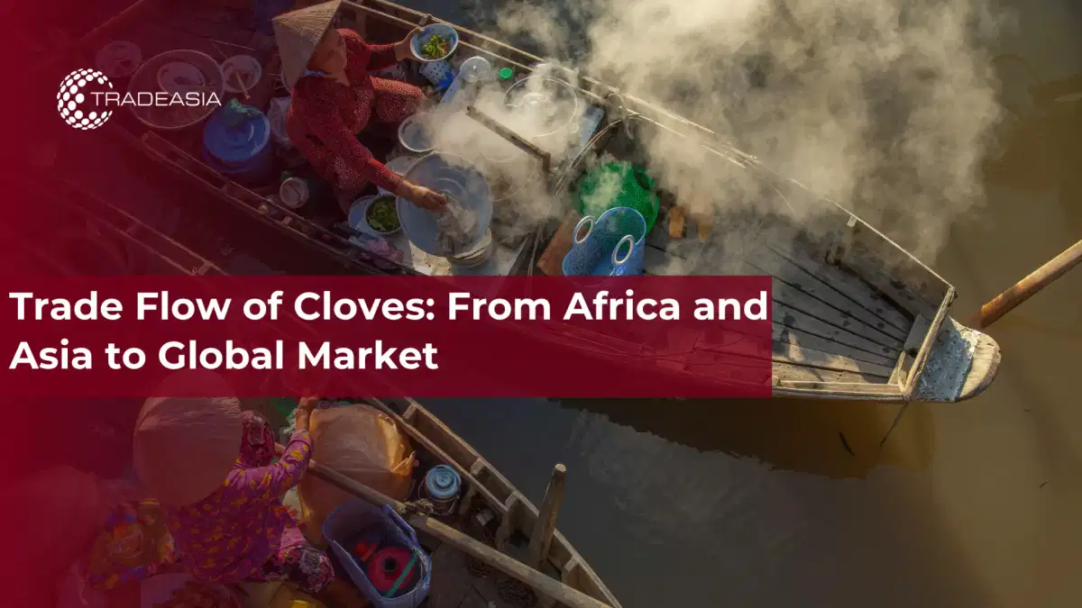 Trade Flow of Cloves: From Africa and Asia to Global Market