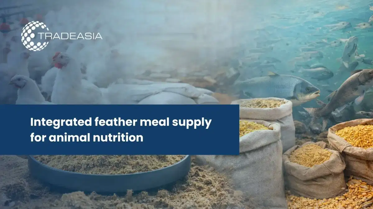 Feather Meal Supply Chains in Asia