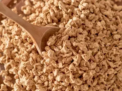 Textured Soy Protein