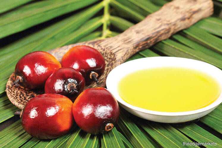 palm oil and kernels