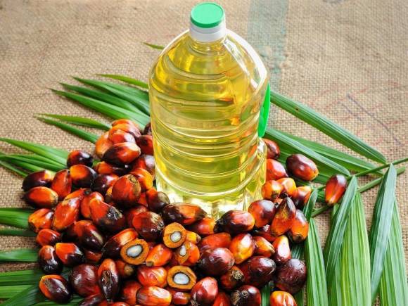 palm oil cooking oil