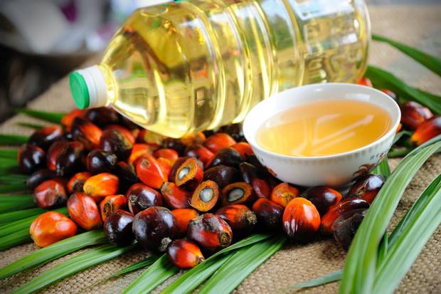 palm oil in indonesia
