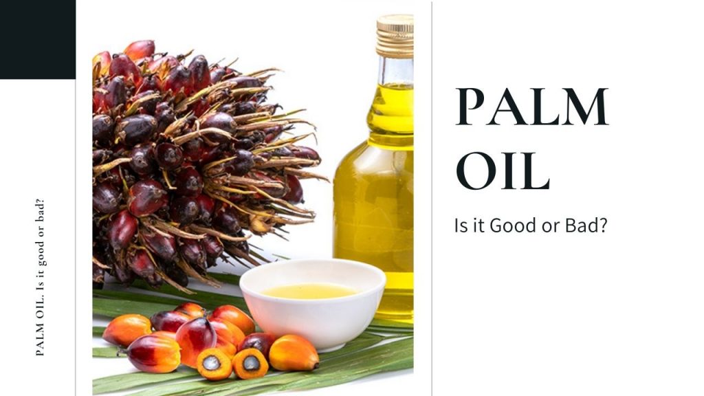 Palm Oil - blog banner