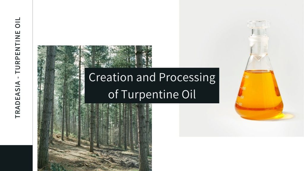 turpentine oil production process - blog banner